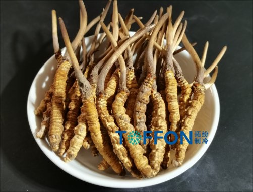 17639745623154.png 17639745623154.png