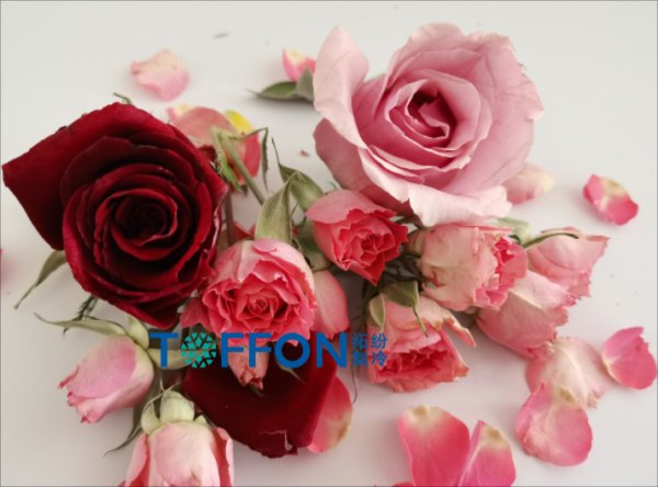 花茶冷凍干燥機解決方案