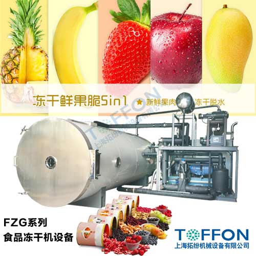 食品凍干機 果蔬凍干機  拓紛機械設備FZG系列冷凍干燥機